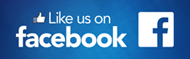 Facebool Like Us Logo